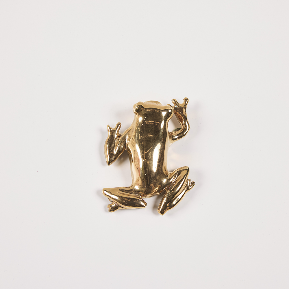 Gold Tree Frog_Linda Fahey_01