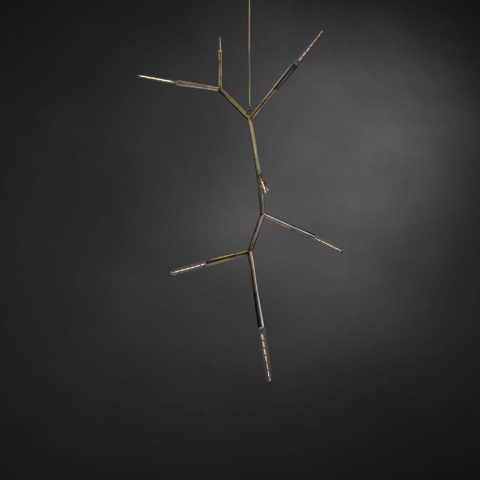 Phasmida Vertical_Christopher Boots_01