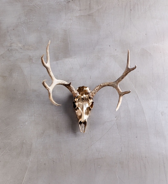 Bronze Deer Mount Small By Ashley Tudor