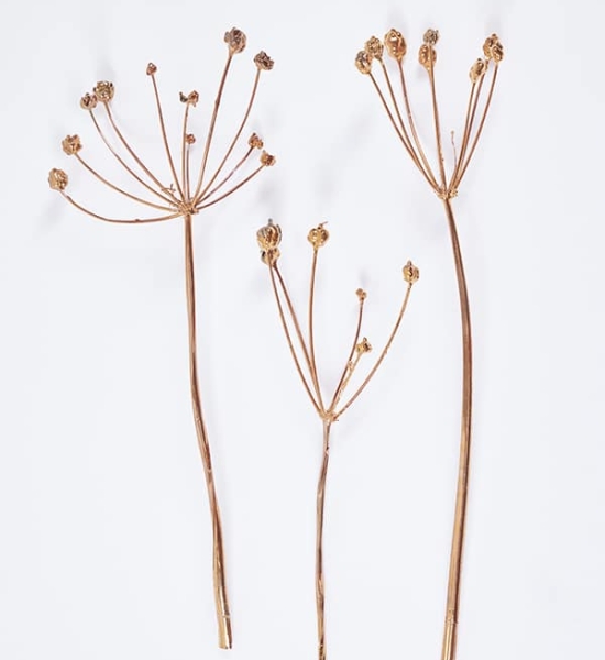 Constellation Flowers in Copper by Jocelyn Marsh
