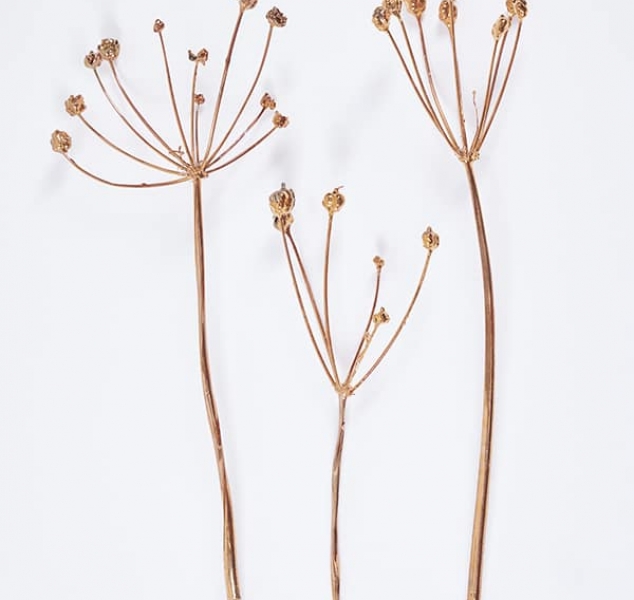 Constellation Flowers in Copper by Jocelyn Marsh