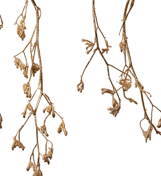 Kangaroo Paw Chandelier by Jocelyn Marsh