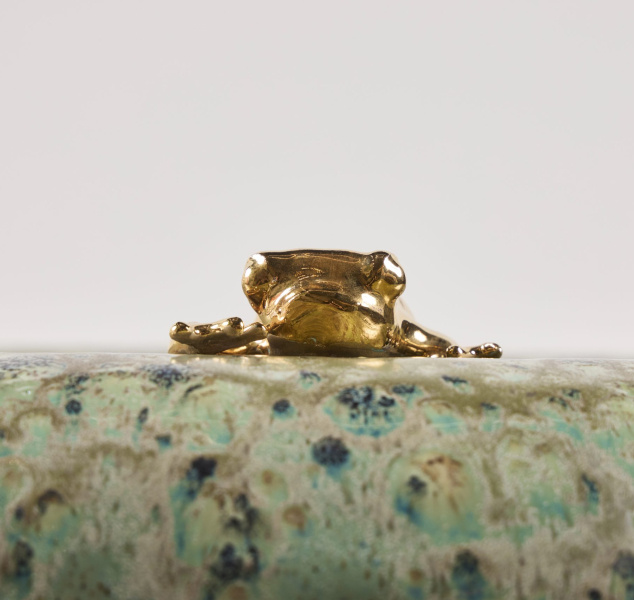 Gold Tree Frog by Linda Fahey