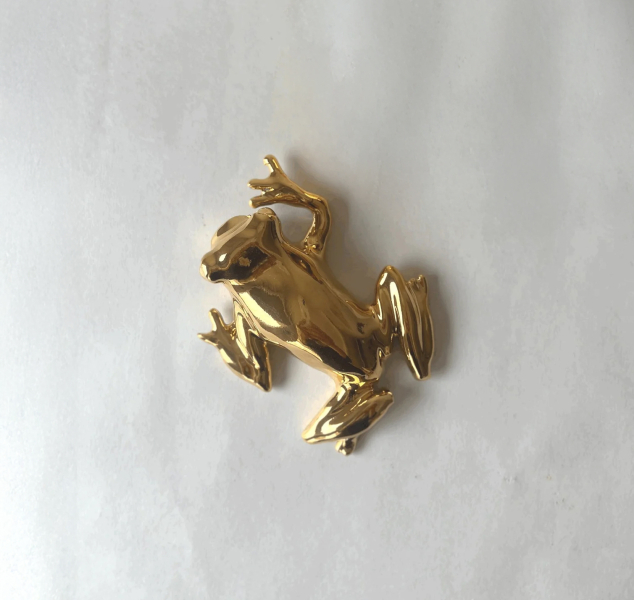 Gold Tree Frog by Linda Fahey