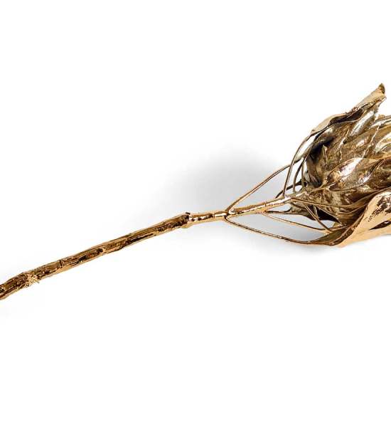 Metal Flora by Jocelyn Marsh