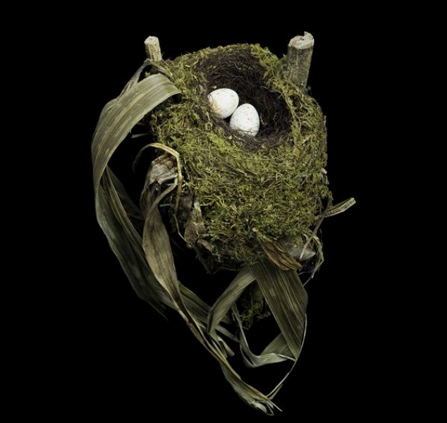Spotted Nightingale Thrush Nest by Sharon Beals