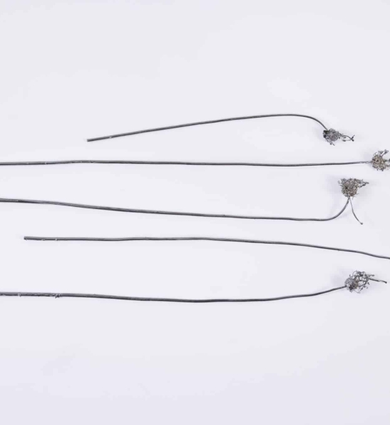 Spring Flowers in Gunmetal by Jocelyn Marsh