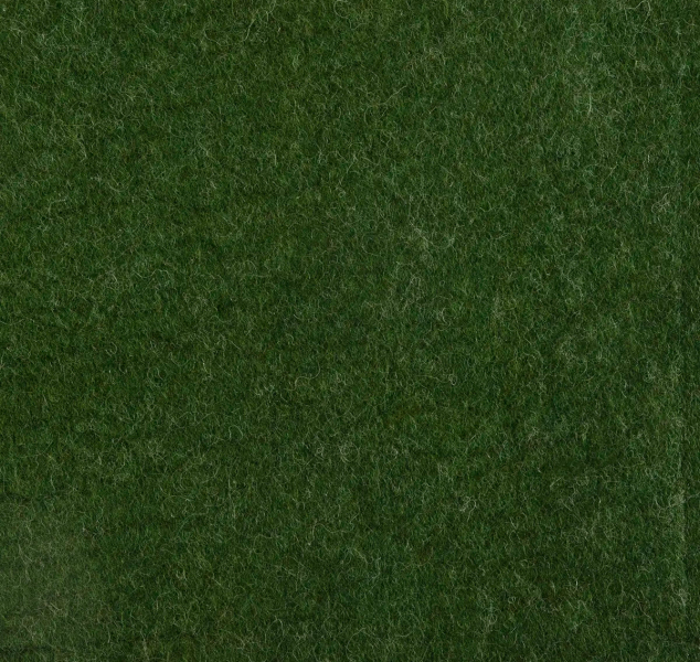 GRASS by JG SWITZER
