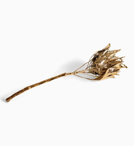 Metal Flora by Jocelyn Marsh